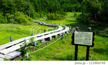 【山の標識】長野県＆群馬県・志賀高原・四十八池湿原（2013年） 113968748