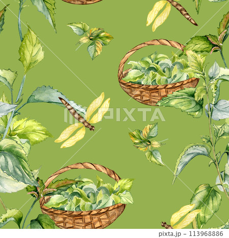 Nettle herbal plant with basket watercolor seamless pattern isolated on green. Illustration of stinging plant and dragonfly hand drawn. Print of useful herb. Design for textile, package, wallpaper Nettle herbal plant with basket watercolor seamless pattern isolated on green. Illustration of stinging plant and dragonfly hand drawn. Print of useful herb. Design for textile, package, wallpaper 113968886