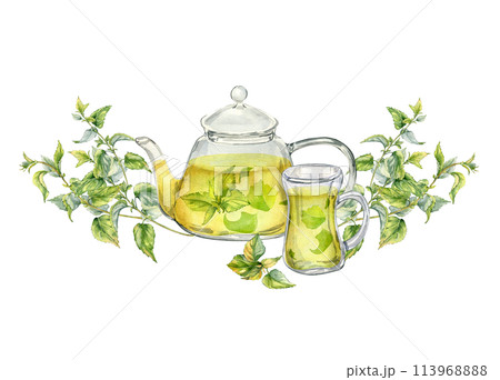 Watercolor illustration of transparent teapot with herbs tea isolated on white . Glass teapot with nettle tea. Herbs and cup of hot drink hand drawn. Green hot drink. Packaging of dry herb, green tea 113968888