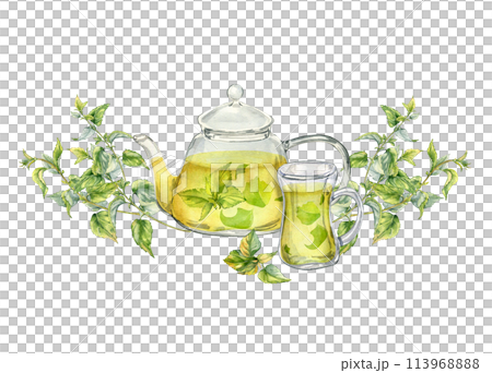 Watercolor illustration of transparent teapot with herbs tea isolated on white . Glass teapot with nettle tea. Herbs and cup of hot drink hand drawn. Green hot drink. Packaging of dry herb, green tea 113968888