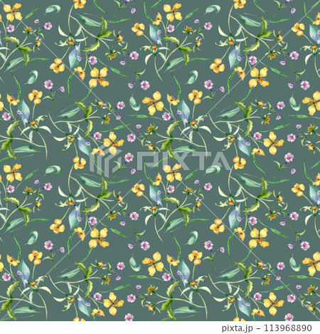 Yellow, blue meadow wild flowers in watercolor seamless pattern isolated on dark. Celandine and bur marigold medicinal plant in sketch. Floral print hand drawn. Design for package, textile, wrapping 113968890