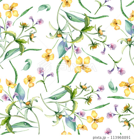 Yellow, blue meadow wild flowers in watercolor seamless pattern isolated on white. Celandine and bur marigold medicinal plant in sketch. Floral print hand drawn. Design for package, textile, wrapping 113968891