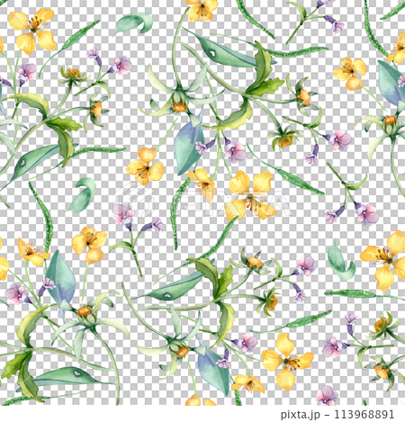 Yellow, blue meadow wild flowers in watercolor seamless pattern isolated on white. Celandine and bur marigold medicinal plant in sketch. Floral print hand drawn. Design for package, textile, wrapping 113968891
