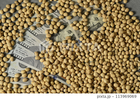 Dollars banknotes and coins and soy beans,oleaginous commoditi value concept. Dollars banknotes and coins and soy beans,oleaginous commoditi value concept. 113969069