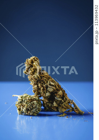 cannabis buds on a blue surface cannabis buds on a blue surface 113969432