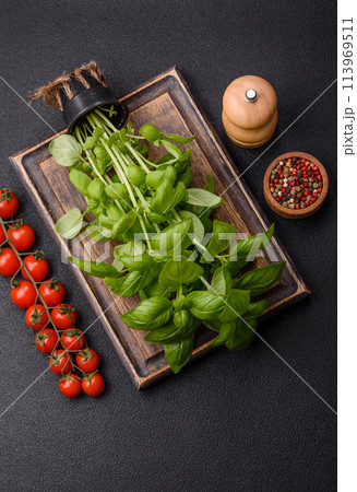 Fresh herbs basil in the form of a bush as an ingredient for cooking at home 113969511