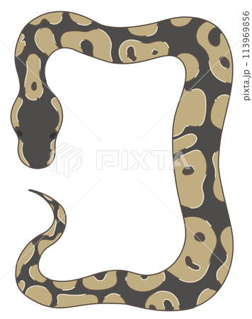 洋書　The Complete Ball Python ボールパイソン ボールパイソン The Complete Ball Python 爬虫類 洋書 ボール