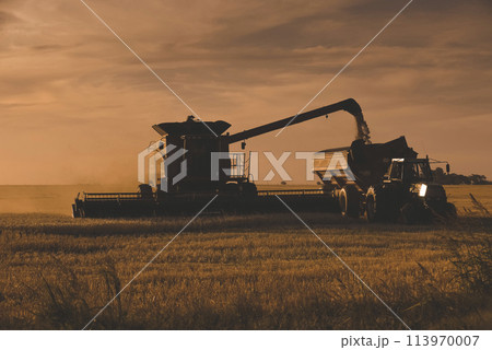 Harvester machine, harvesting in the Argentine countryside, Buenos Aires province, Argentina. 113970007