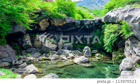 うららかな新緑の山を背景に仙酔峡の渓流風景「ミヤマキリシマ(仙酔峡)」阿蘇市 113970521