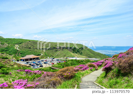 うららかな春空を背景に大自然の絶景風景「ミヤマキリシマ(仙酔峡)」阿蘇市 113970570
