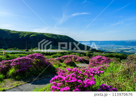 うららかな春空を背景に大自然の絶景風景「ミヤマキリシマ(仙酔峡)」阿蘇市 うららかな春空を背景に大自然の絶景風景「ミヤマキリシマ(仙酔峡)」阿蘇市 113970676