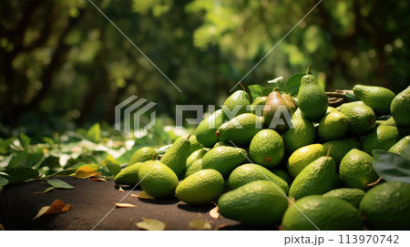 Ripe avocados lie in heap on plantation 113970742