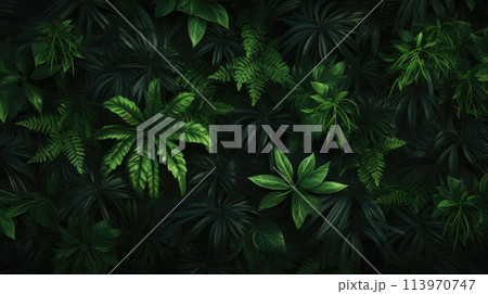 Horizontal splash with lush tropical green leaves 113970747