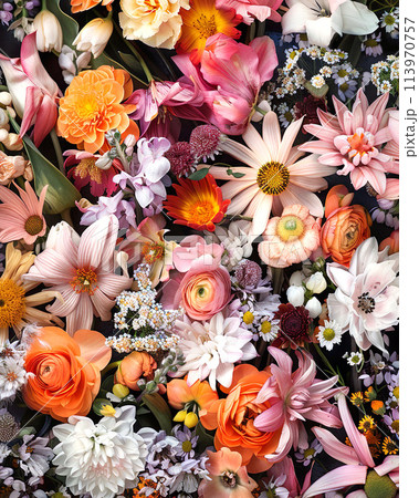 Beautiful background of flowers. View from above. 113970757