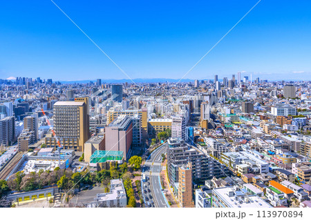 日本の東京都市景観 池袋や新宿、富士山などを望む 日本の東京都市景観 池袋や新宿、富士山などを望む 113970894