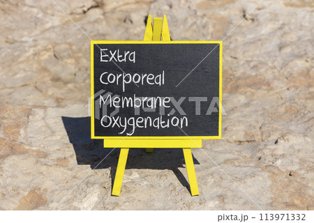 ECMO Extra Corporeal Membrane Oxygenation symbol. Concept words ECMO Extra Corporeal Membrane Oxygenation on black chalk blackboard on beautiful stone background. Medical, ECMO concept. Copy space. ECMO Extra Corporeal Membrane Oxygenation symbol. Concept words ECMO Extra Corporeal Membrane Oxygenation on black chalk blackboard on beautiful stone background. Medical, ECMO concept. Copy space. 113971332