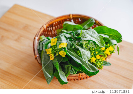 菜花 113971881
