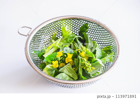 笊に入れて洗った菜花 113971891