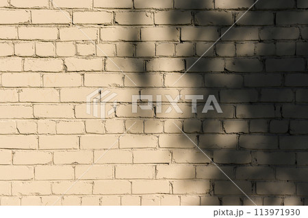 shadows from tree leaves on a light brick wall 1 113971930