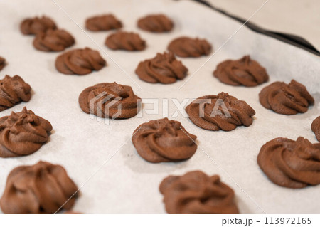 手作り絞り出しショコラクッキー 113972165
