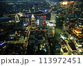 高層ビルからの夜景 113972451
