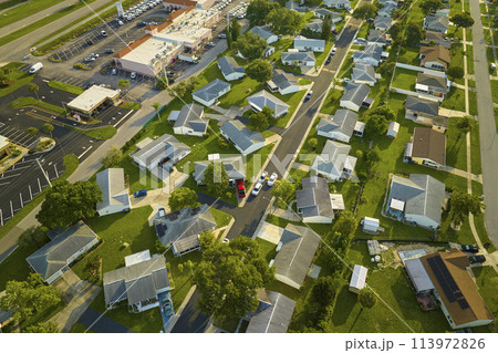Aerial landscape view of suburban private houses between green palm trees in Florida quiet rural area 113972826