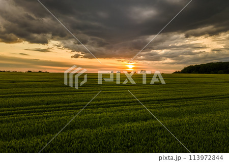 Aerial landscape view of green cultivated agricultural fields with growing crops on bright summer evening. Aerial landscape view of green cultivated agricultural fields with growing crops on bright summer evening. 113972844