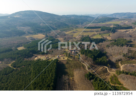 Aerial view of pine forest with large area of cut down trees as result of global deforestation industry. Harmful human influence on world ecology Aerial view of pine forest with large area of cut down trees as result of global deforestation industry. Harmful human influence on world ecology 113972954