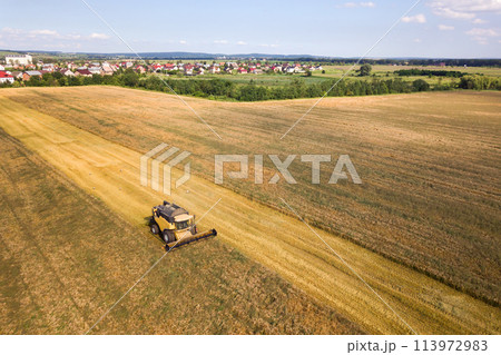 Aerial view of combine harvester harvesting large ripe wheat field. Agriculture from drone view. 113972983