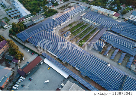 Aerial view of blue photovoltaic solar panels mounted on industrial building roof for producing green ecological electricity. Production of sustainable energy concept 113973043
