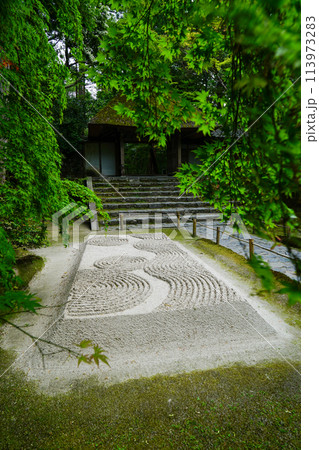 初夏の法然院の境内 113973283