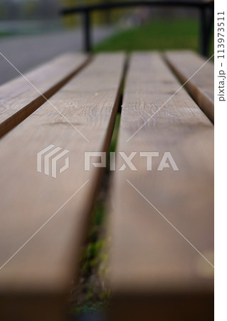 Wooden bench in the park. Close up 113973511
