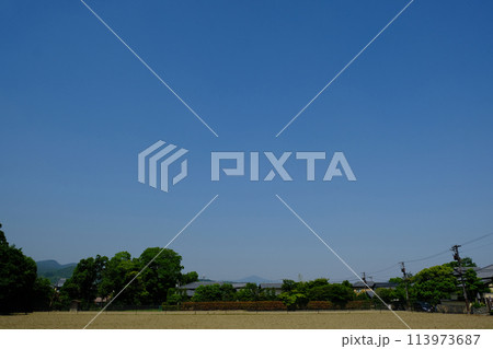 京都嵯峨野の青空 113973687