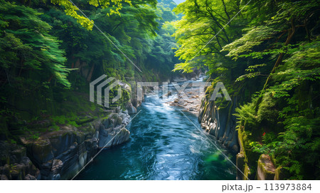 夏の渓谷 113973884