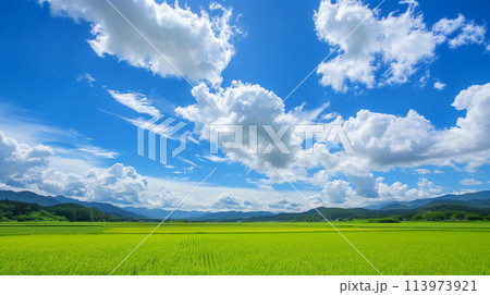 青空と夏の田園風景 青空と夏の田園風景 113973921