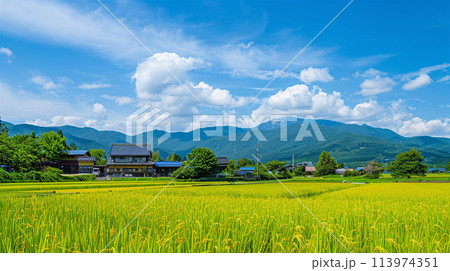 日本の夏の農村風景 日本の夏の農村風景 113974351