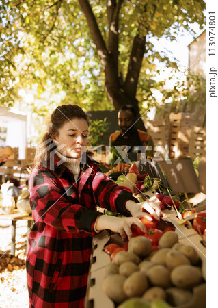Female consumer browsing and selecting organic fresh produce at farmers market stand. In harvest fair festival, young client shopping for locally grown fruits and vegetables on harvest fair stalls. Female consumer browsing and selecting organic fresh produce at farmers market stand. In harvest fair festival, young client shopping for locally grown fruits and vegetables on harvest fair stalls. 113974801