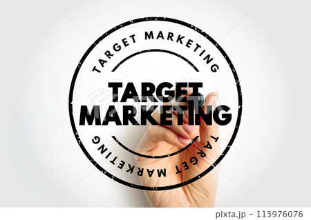 Target Marketing - researching and understanding your prospective customers interests, text concept stamp Target Marketing - researching and understanding your prospective customers interests, text concept stamp 113976076
