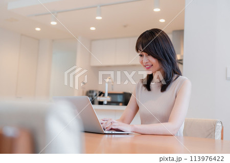 在宅勤務をする若い女性 113976422
