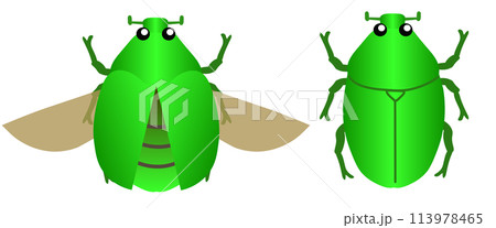 カナブンのセットのイラスト素材 [113978465] - PIXTA