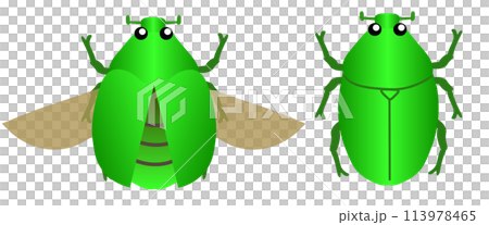 カナブンのセットのイラスト素材 [113978465] - PIXTA