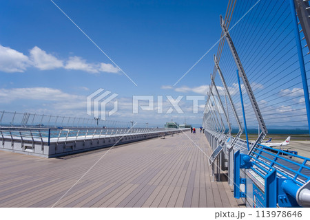 【中部国際空港セントレア】スカイデッキ 113978646