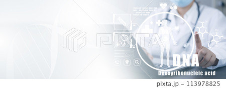 Medical doctor and medical technology and futuristic concept, Doctor using laptop and health medical network connection icon on virtual screen interface, Modern medical technology and innovation. Medical doctor and medical technology and futuristic concept, Doctor using laptop and health medical network connection icon on virtual screen interface, Modern medical technology and innovation. 113978825