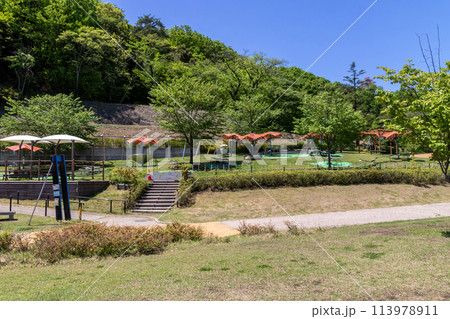 新緑の観音山公園　群馬県高崎市 113978911