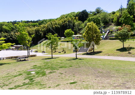 新緑の観音山公園 群馬県高崎市 新緑の観音山公園 群馬県高崎市 113978912
