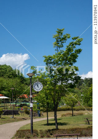 初夏の観音山公園　群馬県高崎市 113978941