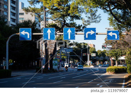 【基幹バスレーン】複雑な道路標識がある交差点 【基幹バスレーン】複雑な道路標識がある交差点 113979007