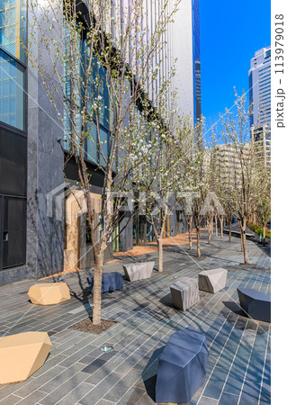 東京 港区 芝5丁目の都市風景 (田町タワー) 東京 港区 芝5丁目の都市風景 (田町タワー) 113979018