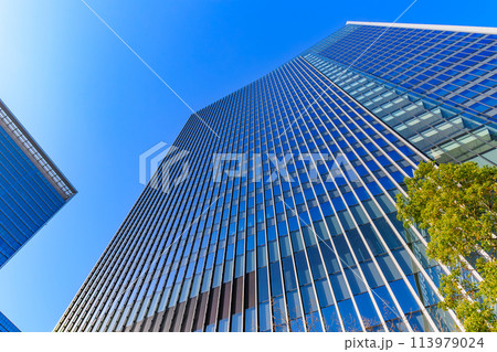 東京　港区　芝5丁目の都市風景　（田町タワー） 113979024