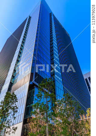 東京　港区　芝5丁目の都市風景　（田町タワー） 113979028